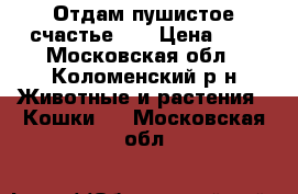 Отдам пушистое счастье))) › Цена ­ 1 - Московская обл., Коломенский р-н Животные и растения » Кошки   . Московская обл.